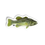 BLACKBASS Kid Ocelos