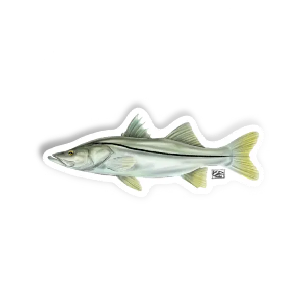 Adesivo ROBALO-FLECHA Kid Ocelos, Esportes