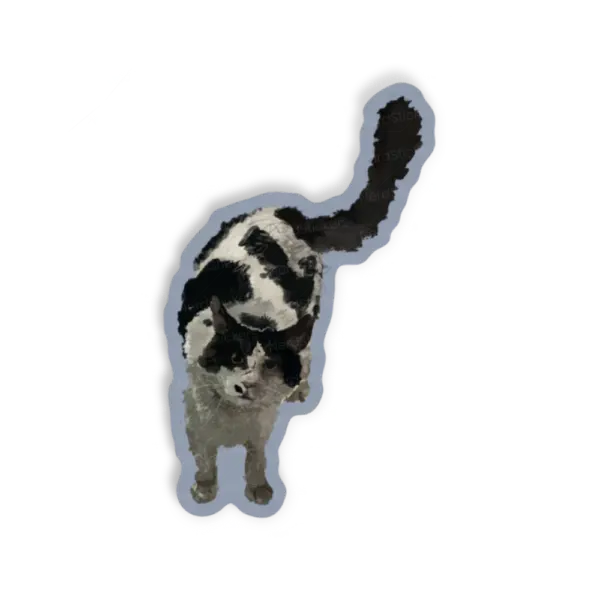 Adesivo Gato frajola, Animais