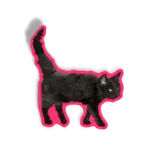 Gato preto